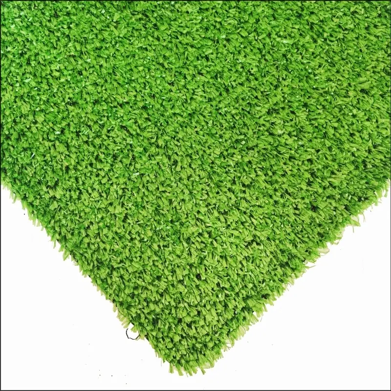 カーペットグラスCG10