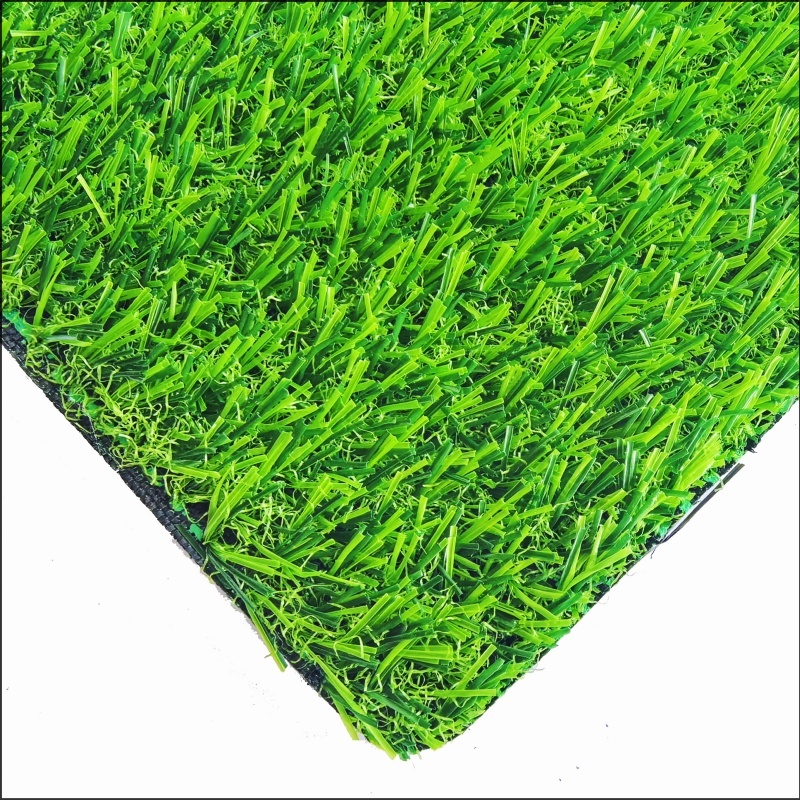 See More About 遊び場の草（PG20）
