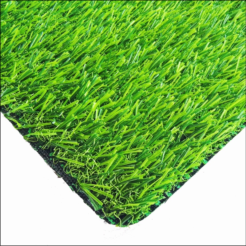 See More About 遊び場の草（PG25）